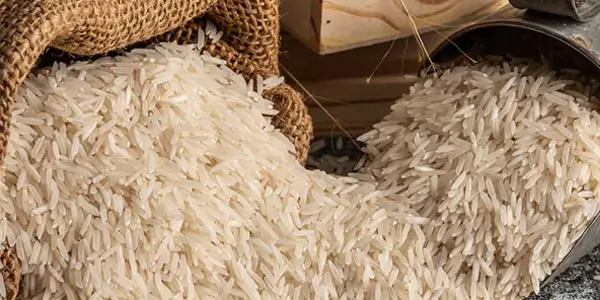 Basmati Rice