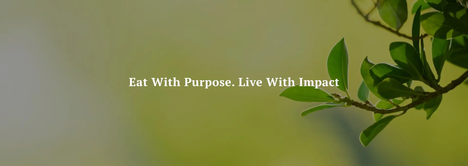 Sustainability Banner Image