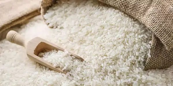 Non-Basmati Rice