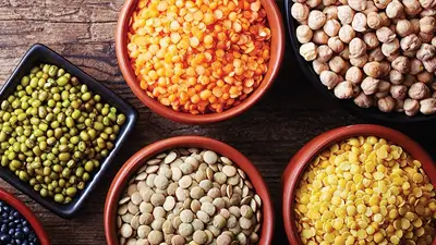 Assorted bowls of colorful red and yellow lentils, chickpeas (kabuli chana), and whole moong beans arranged on a rustic wooden table emphasizing Kirana King’s meticulous selection of premium-quality food grains, purity, and commitment to delivering trusted staples through careful sourcing and emphasis on superior grocery standards.