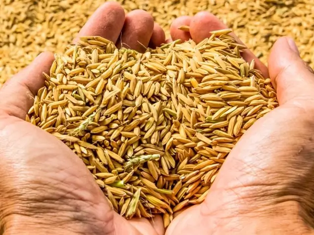 SOURCING & PROCUREMENT